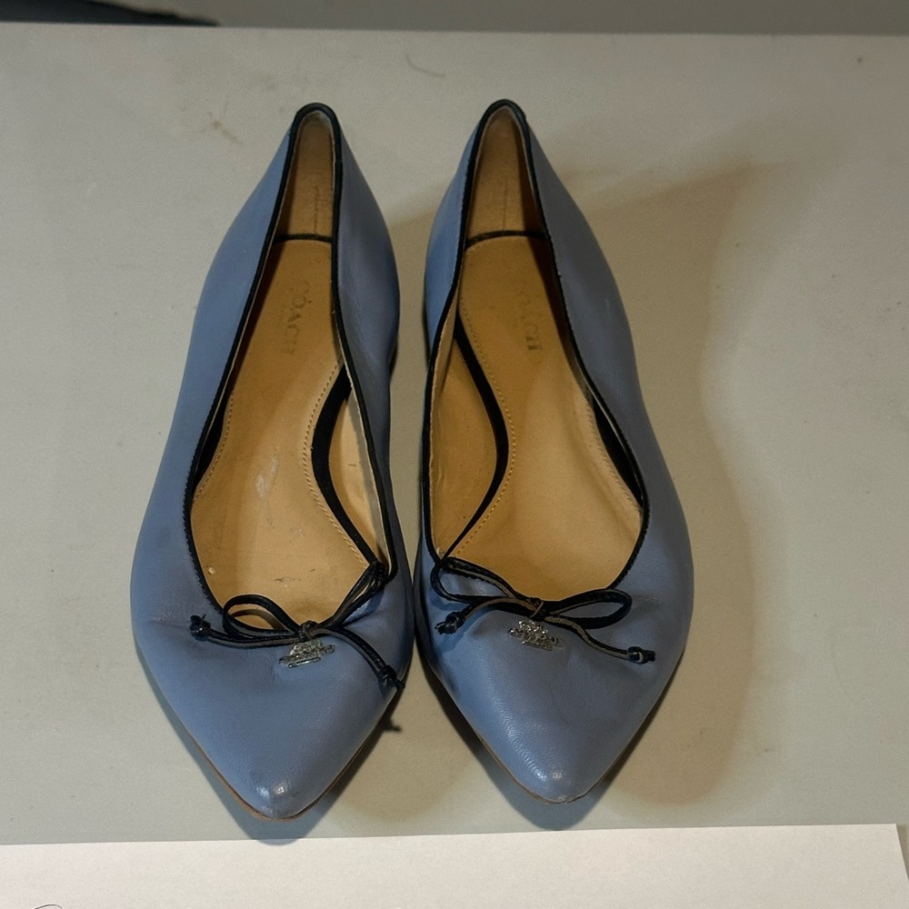 Coach Women's Blue Pointed Flats